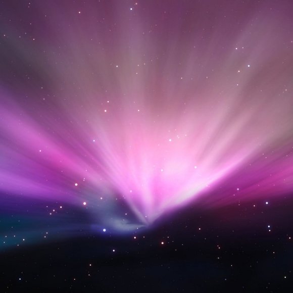 Meet your Posher, Lori - Picture 4 of 4